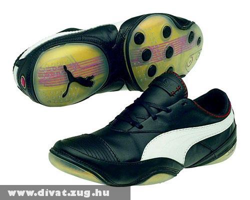 Fekete-fehér Puma