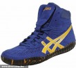 Asics Aggressor